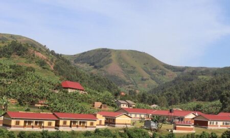 Fruits Rukiga Rukiga district to plant 9 million coffee seedlings - The East African ...