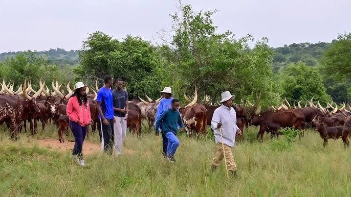 Better Learn From Me: Museveni Unveils Managers Of His Multibillion ...