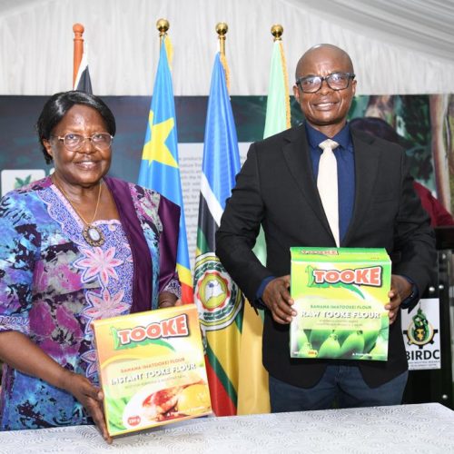 PIBID/BIRDC Opens North Kivu Market Through Landmark TOOKE Partnership